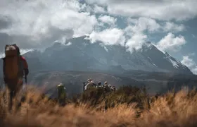 Kilimanjaro climb by Lemosho Route (7-day)