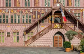 Mulhouse 2-hour introductory walking tour with a local