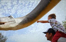 Guided tour of Hams Caves with Dinosaurland visit