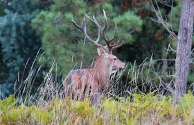 Discovering Nature in Serra da Lousã