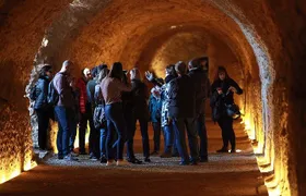 Guided Tour of Roman Tarragona