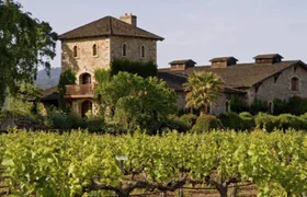 1-day tour to Sonoma and Napa Valley wine country from San Francisco