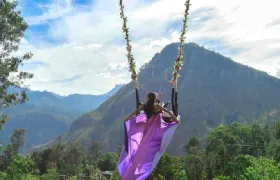 Ella Swing