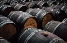 Day Trip to Kakheti Wine Region Including Seven Wine Tastings