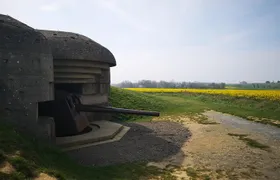 D-Day private tour Omaha + Utah Beach from Caen with audio guide