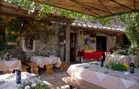 Chianti Safari: Tuscan Villas with vineyards, Cheese, Wine & Lunch from Florence