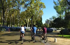 Seville Electric Bike Small Group Tour