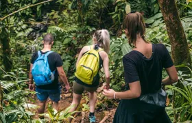 2 days / 1 night Ethical Jungle Trekking