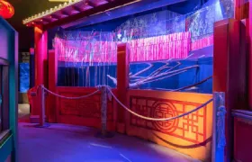 SEA LIFE Paris Aquarium Adult