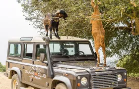 Full-Day Land Rover Safari from Heraklion with Lunch