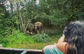 Private Dambulla Sigiriya Tour from Kandy with Lunch